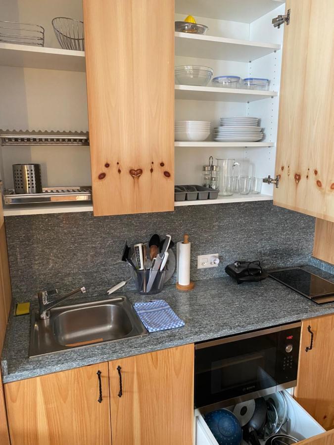 Relaxing Confortable Studio, Heated Garage, Skiroom Samedan Esterno foto